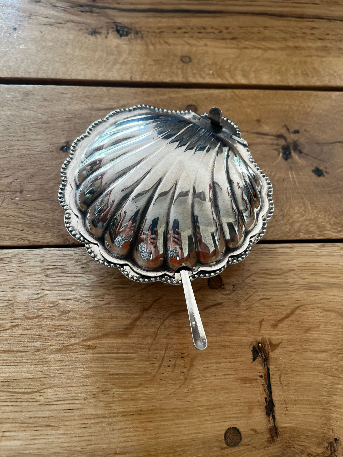 Shell butter dish