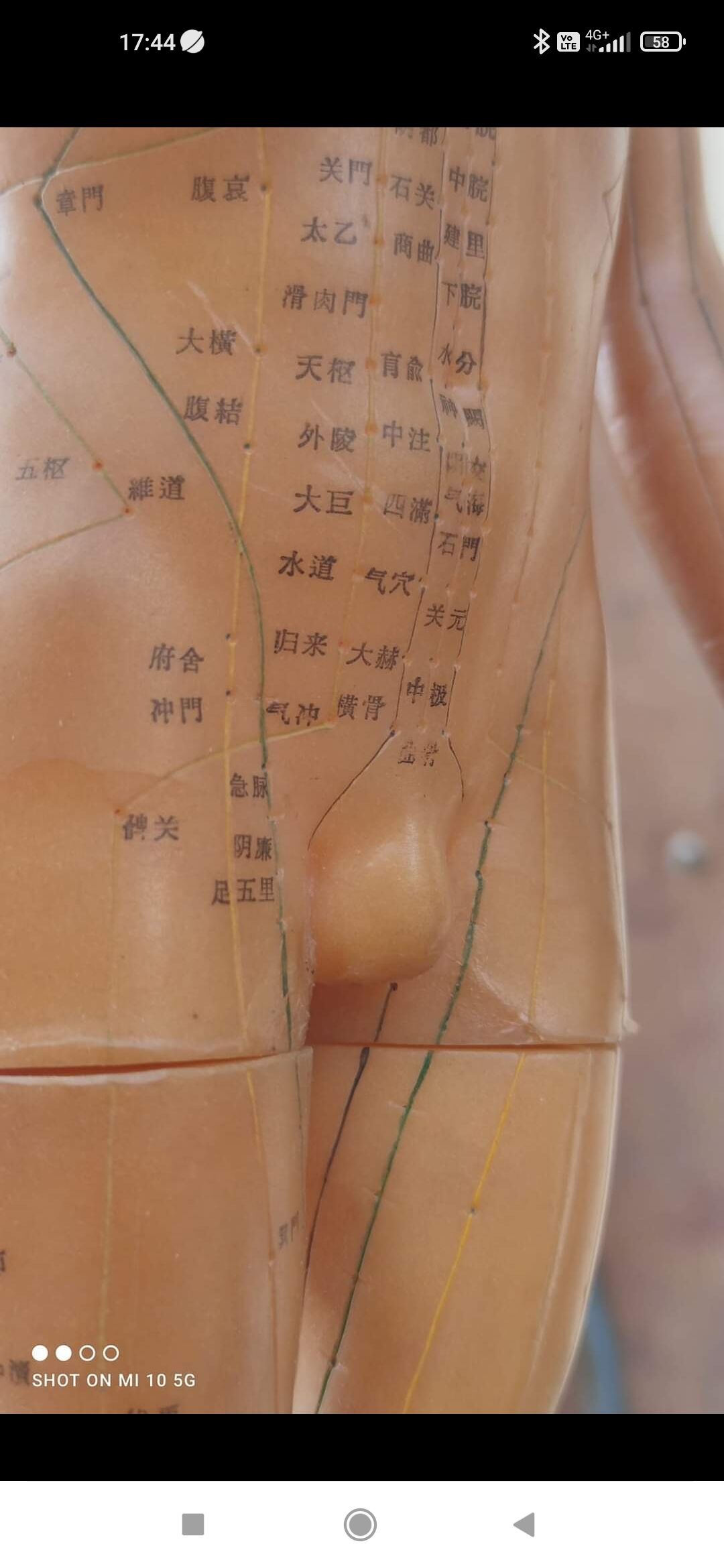Acupuncture mannequin circa 1960