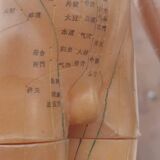 Acupuncture mannequin circa 1960