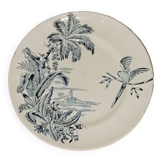 Assiette ancienne plate