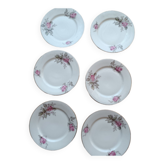 Lot porcelain plates of limoges