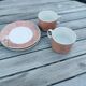 2 cups with Villeroy & Boch saucers, siena model.