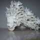 White coral