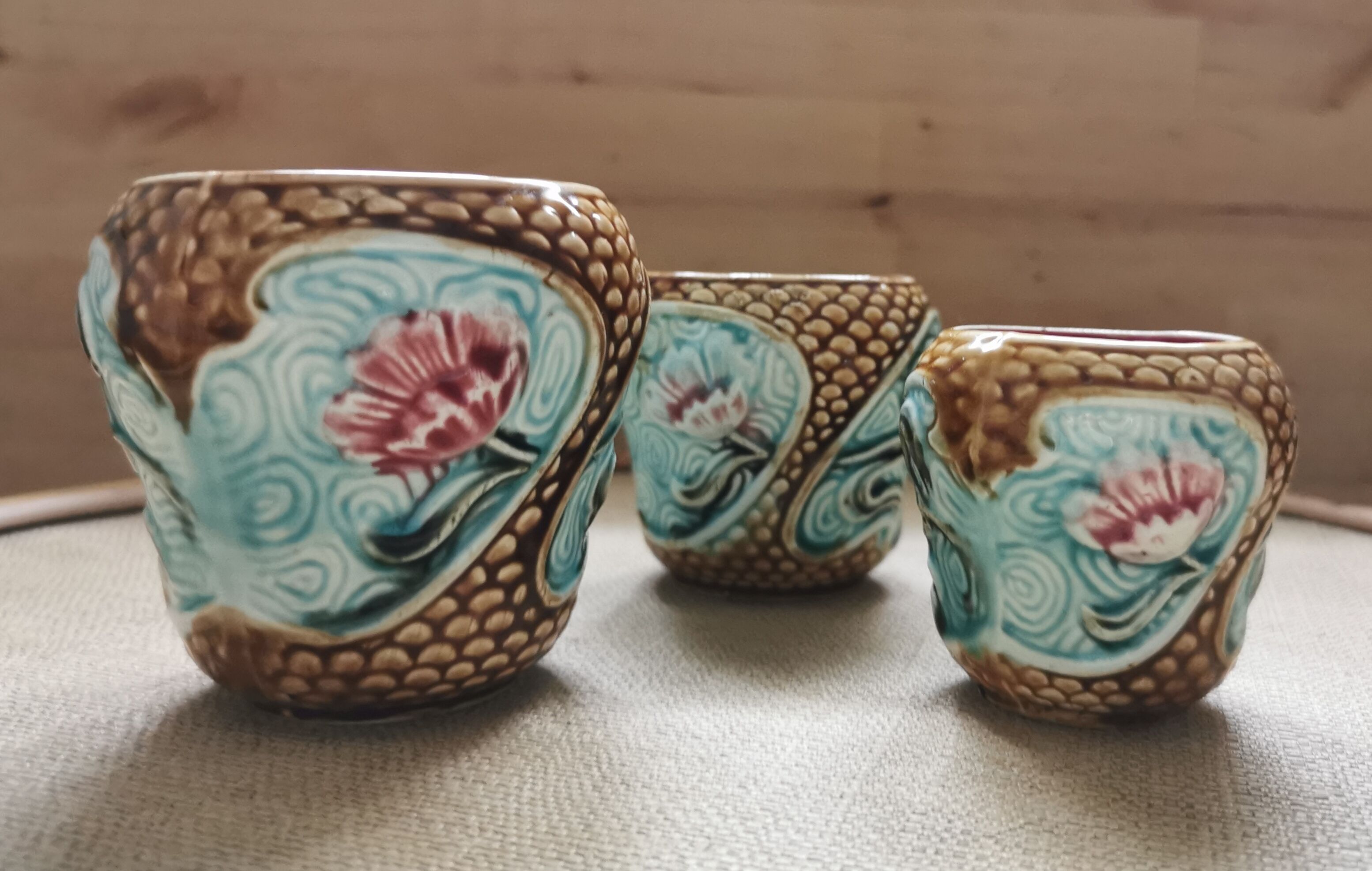 Vases plants in ancient dabbling