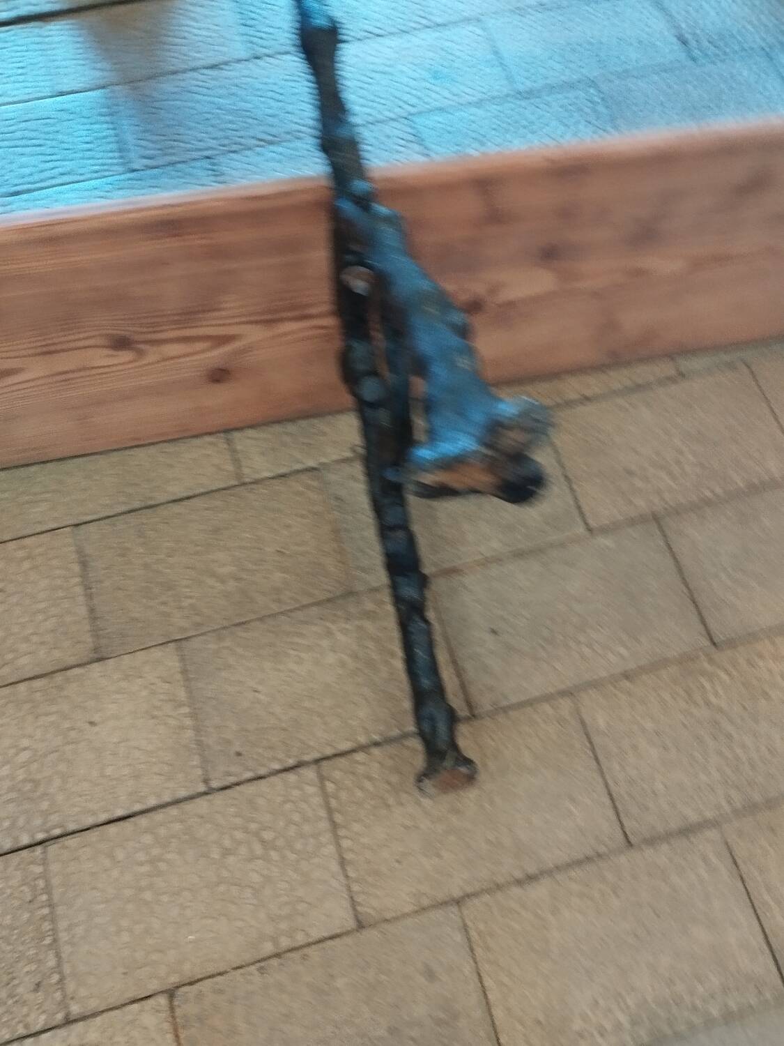 Antique garden bench with cast iron legs