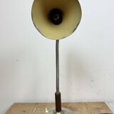 Vintage Gooseneck Table Lamp, 1950s