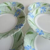 Green arcopal hollow plates