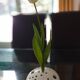 Centrepiece, white ceramic flower holder signed.