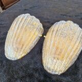Pair of wall sconces from Murano
