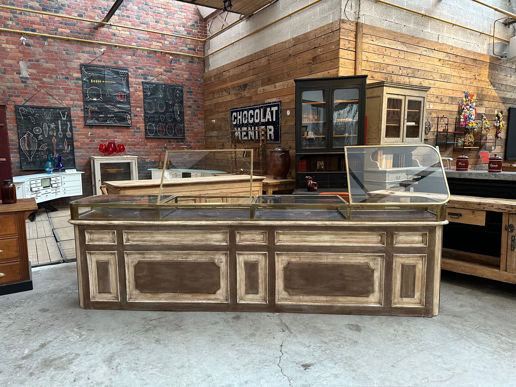 Showcase counter early twentieth century