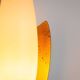 Pair of wall lamps with brass shields and glass shades