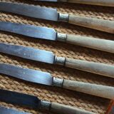 Lot of 8 antique knives with wooden handles.