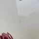 Antique shallow dish Badonviller tulip decoration