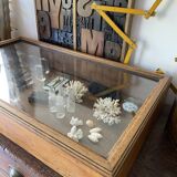 Showcase to install