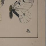 Roger metaye: yellow, black and white butterflies, original signed watercolour.