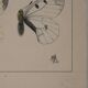 Roger metaye: yellow, black and white butterflies, original signed watercolour.