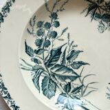 6 hollow plates in blackberry iron earth, Badonviller circa 1900