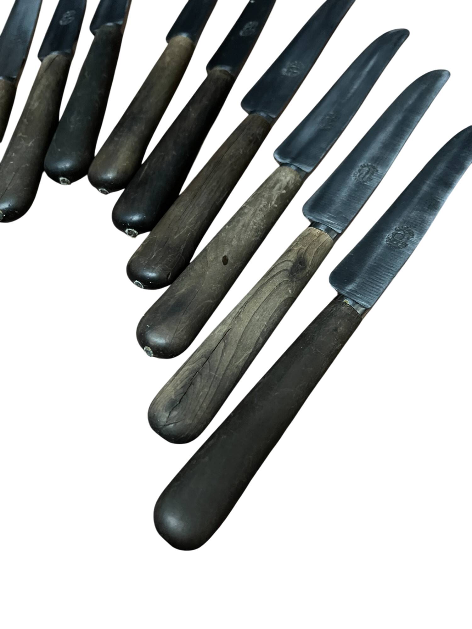 Box of 12 stainless steel knives