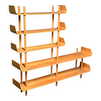 Willem Lutjens library bookshelf