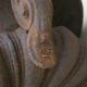 Paire d'anciens vases Médicis de jardin en fonte de fer