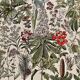Lithograph on medicinal plants (mistletoe), 1930