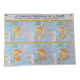 Former MDI school map / Territorial formation of the France