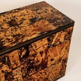 Unique Tortoiseshell Cabinet by Roberto Jodice for Ottini Milano 1974