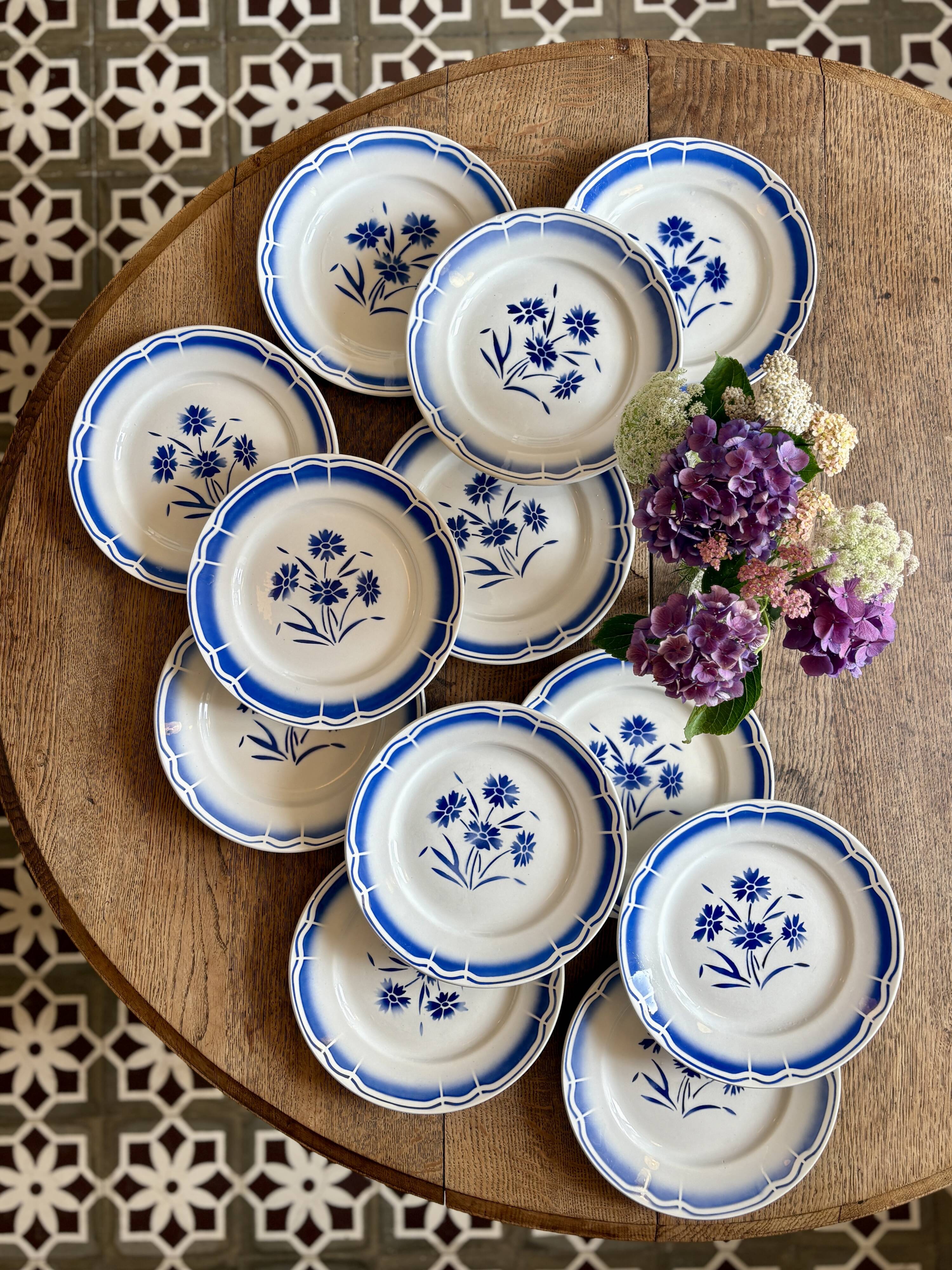 Set of 12 antique flat plates, blue flower decorations