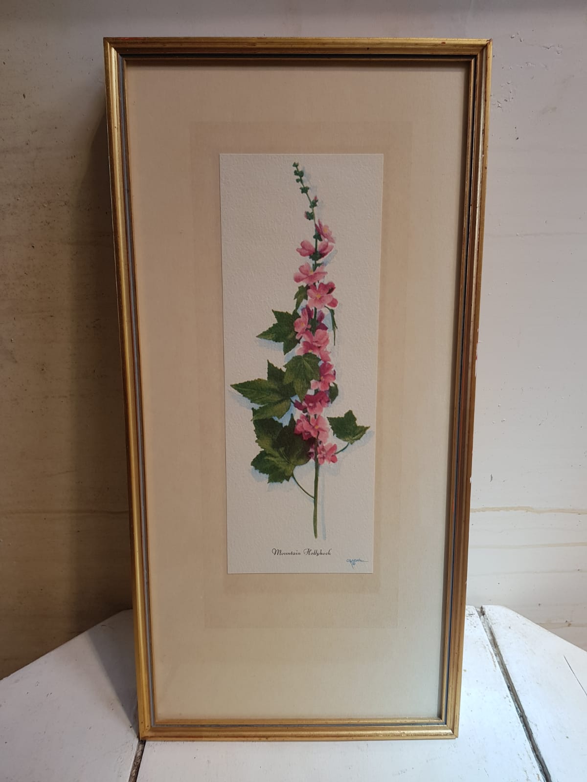 Series 4 Old Botanical Boards Flowers GRANDALL + Frame Gilded Wood Vintage