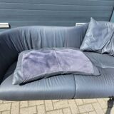 de Sede DS-102 sofa