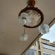 art nouveau chandelier, alabaster shells, molded glass and bronze