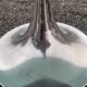 Table foot tulip smoked glass of the 70s by Gastone Rinaldi