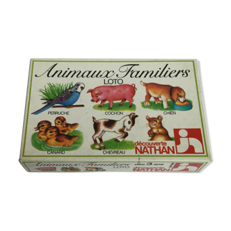 Ancient Pet Lotto Toy