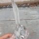 vide poche lapin cristal d vannes