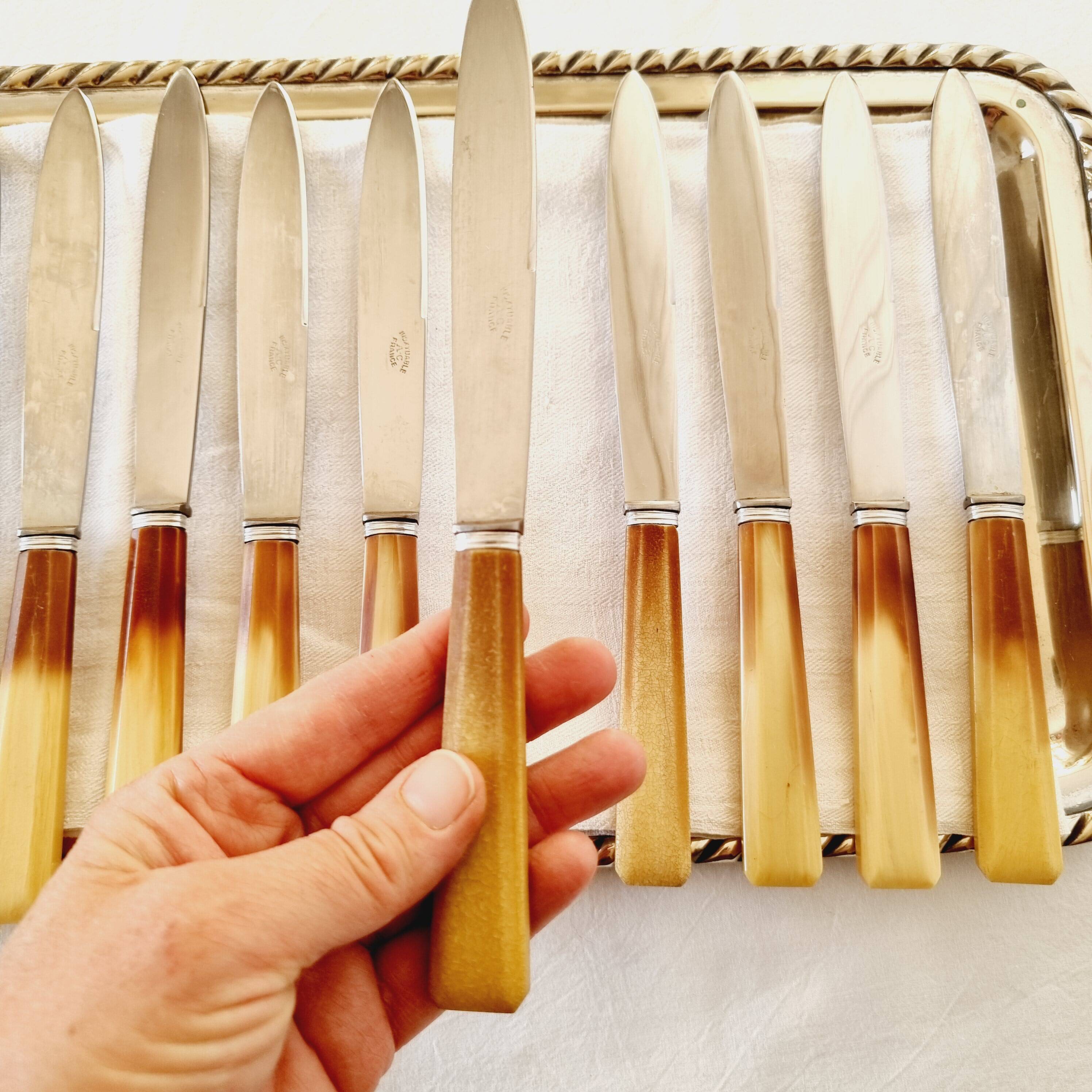 Box of 12 vintage knives in stainless steel and bakelite handle