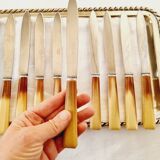 Box of 12 vintage knives in stainless steel and bakelite handle