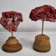 Pair of antique Tubipora musica ornamental corals on base, 17 cm