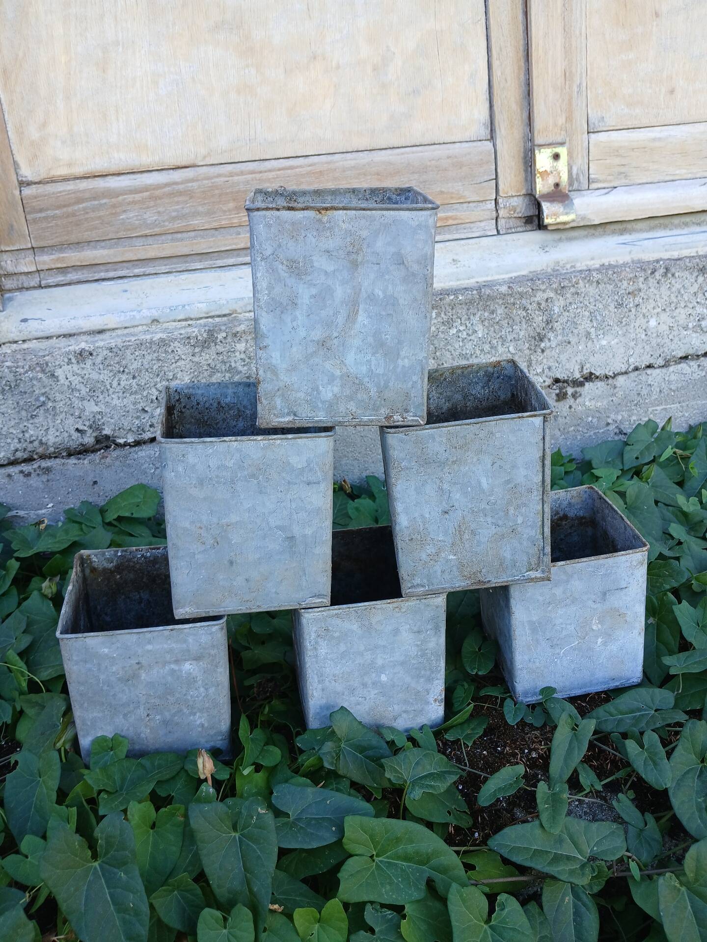 Wire mesh basket