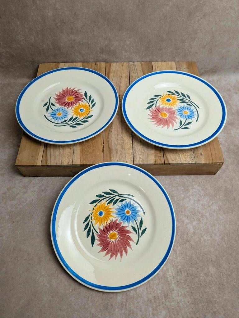 Set of 6 ironstone plates HBC – Rustic Model – Hand-painted floral design