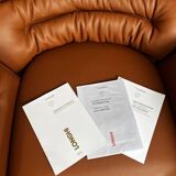 Elda lounge fauteuil– Joe Colombo, Longhi