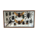 Cadre assortiment d'insectes 35 x 20