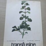 Set of two vintage medical herbarium posters advertising transfusion