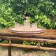 Console en bois de Huali, XXème siècle
