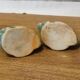 Pair of slurry fish