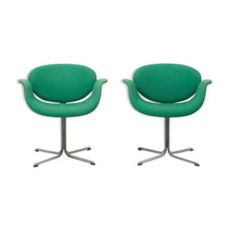 Pair of 'Little Tulip' dining chairs by Pierre Paulin for Artifort, Netherlands - 1960's