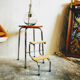 Stepladder walking foot