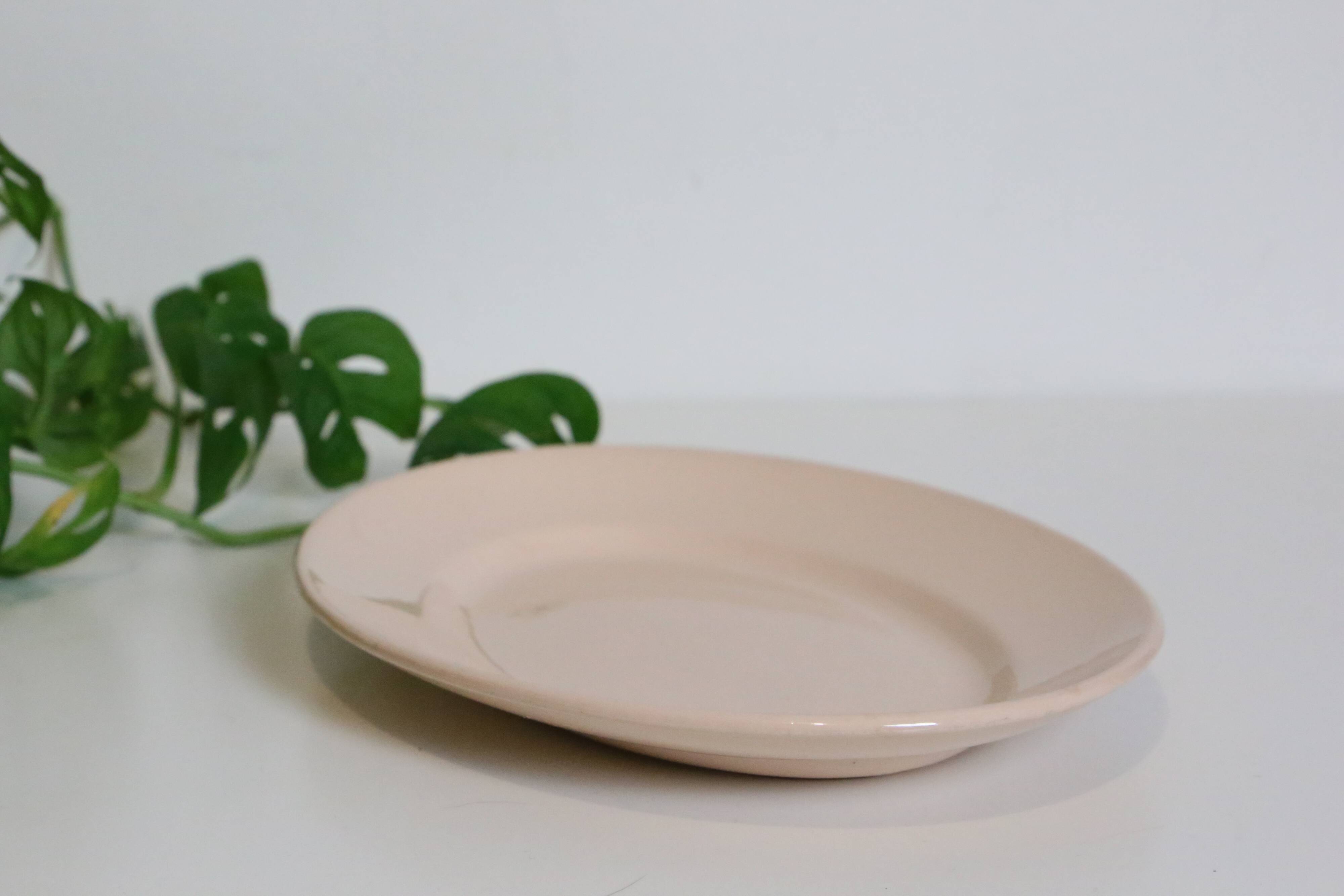 Oval dish in pink ceramic, art deco, 1930, digoin, french manufacture