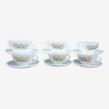 Lot de six grandes tasses à café complète modèle "oiseaux du paradis" d'arcopal -vintage.