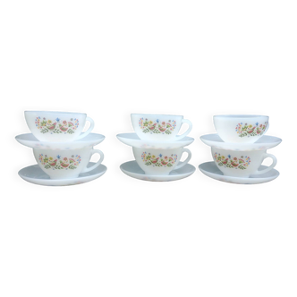 Lot de six grandes tasses à café complète modèle "oiseaux du paradis" d'arcopal -vintage.