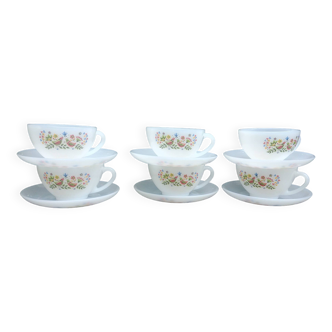 Set of six large complete coffee cups "birds of paradise" model from Arcopal - vintage.